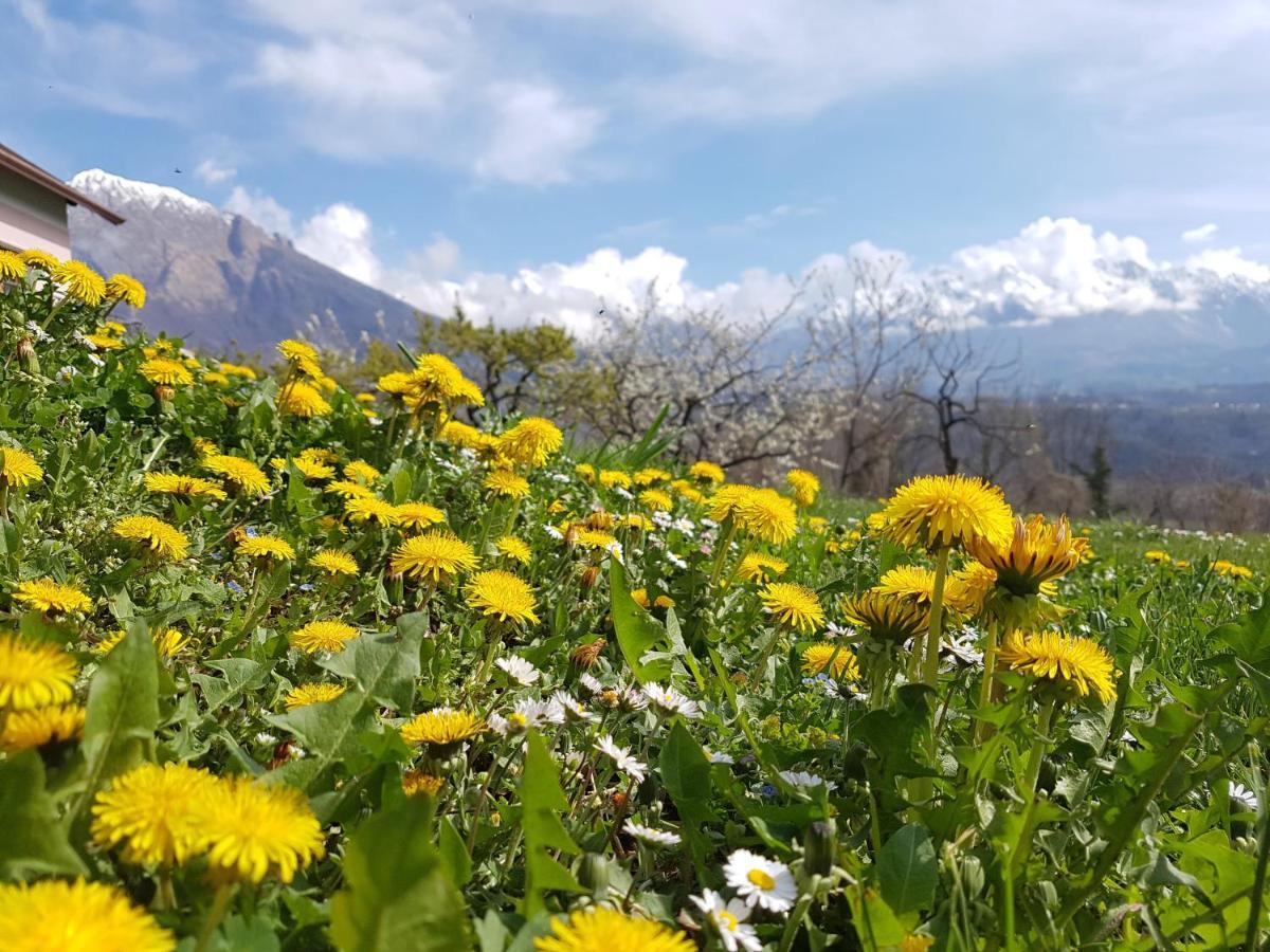 AGRITURISMO La Giasena Ponte nellʼAlpi Exterior foto